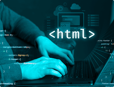 Software Developer