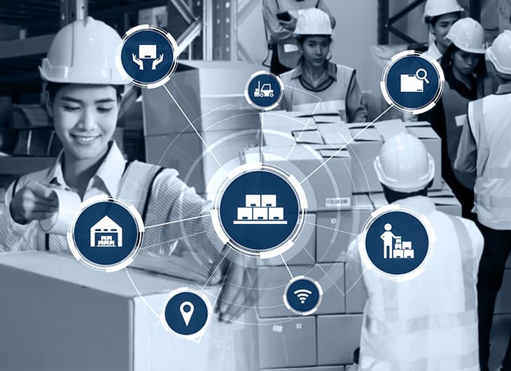 Industries We Serve - Custom web solutions tailored for various industries. illustration