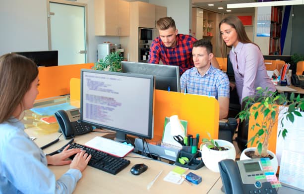 Software Developer