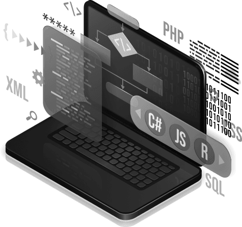 Software Developer